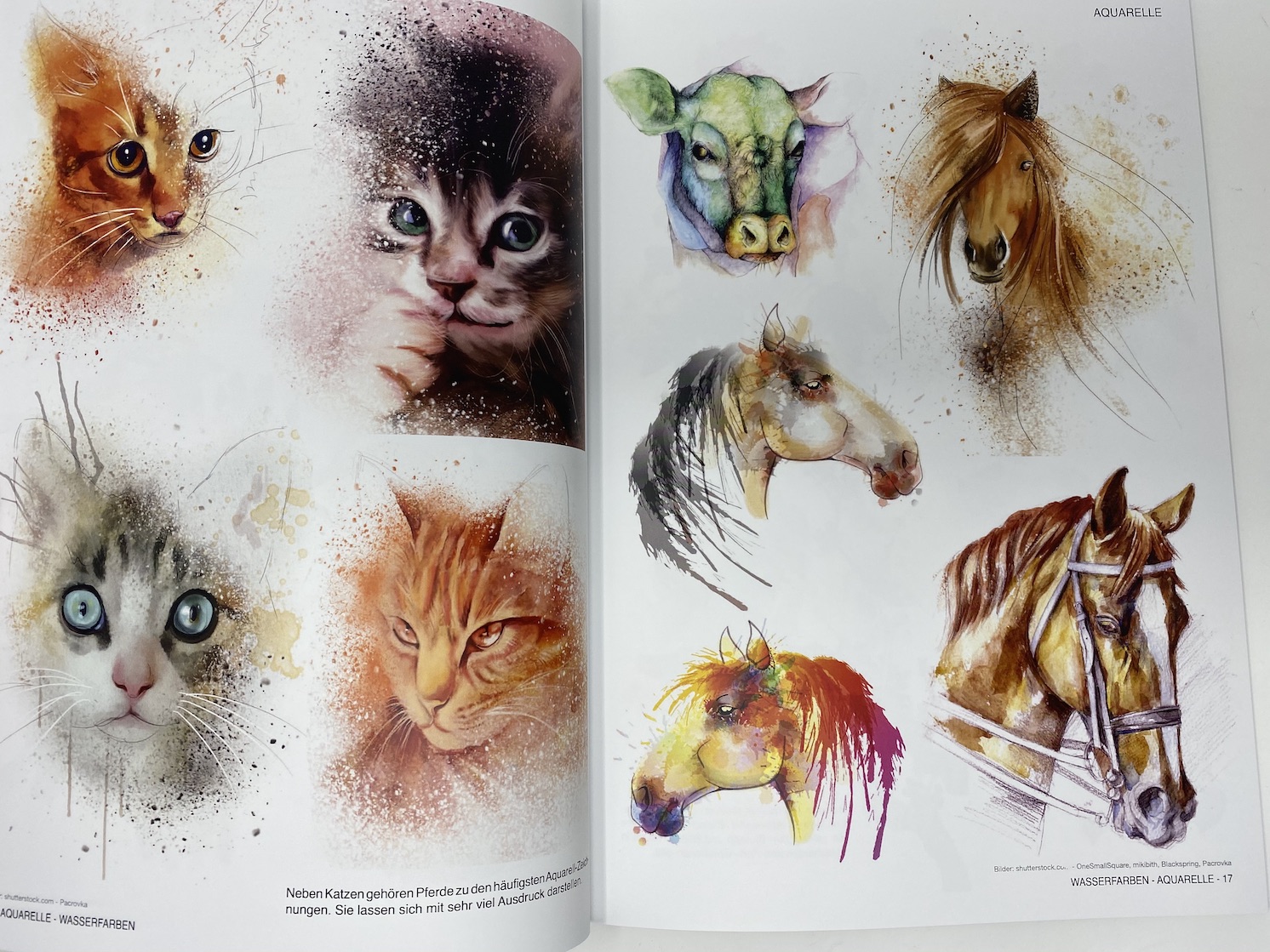 buch-aquarell3