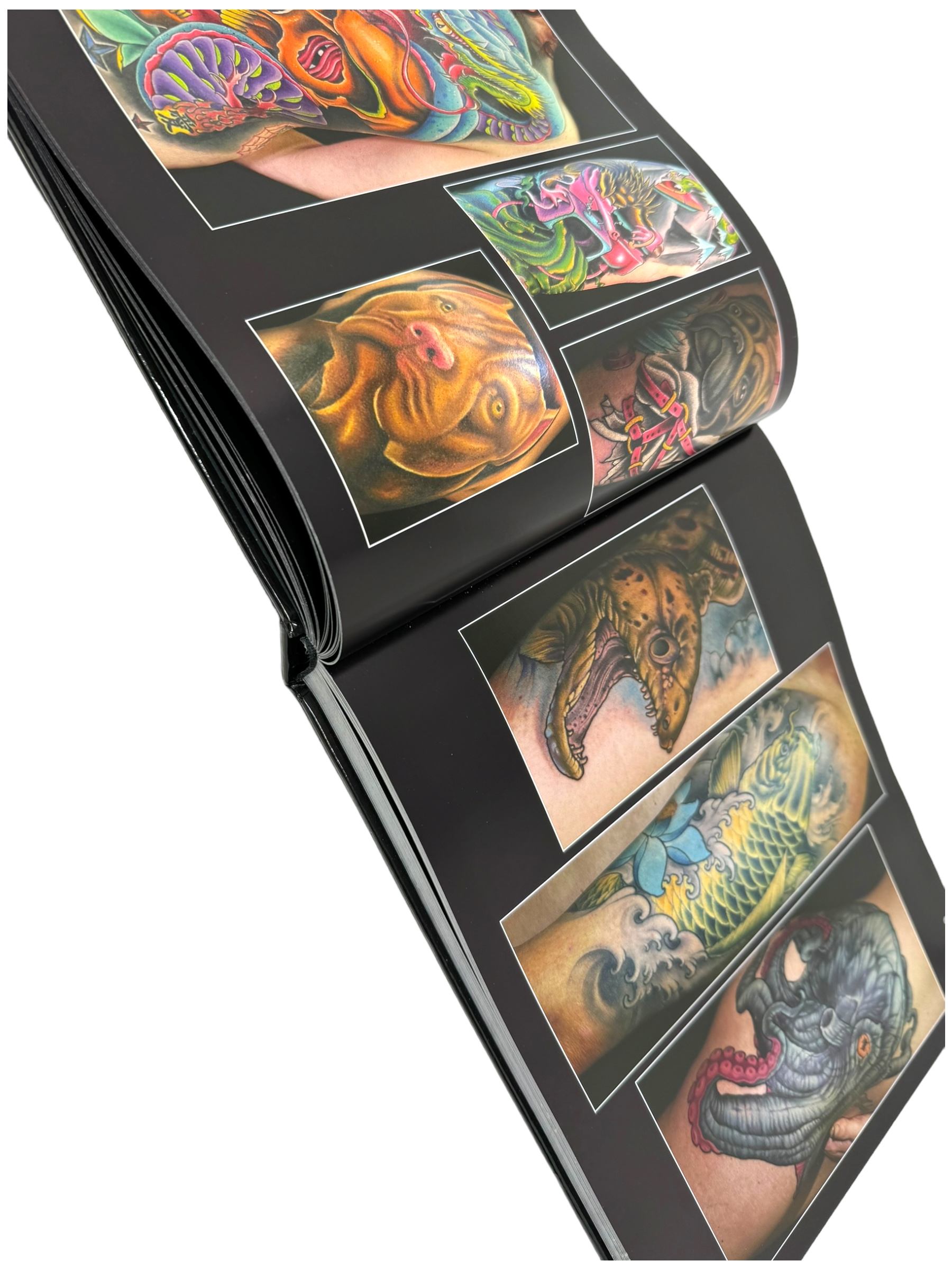 buch-animalink-4