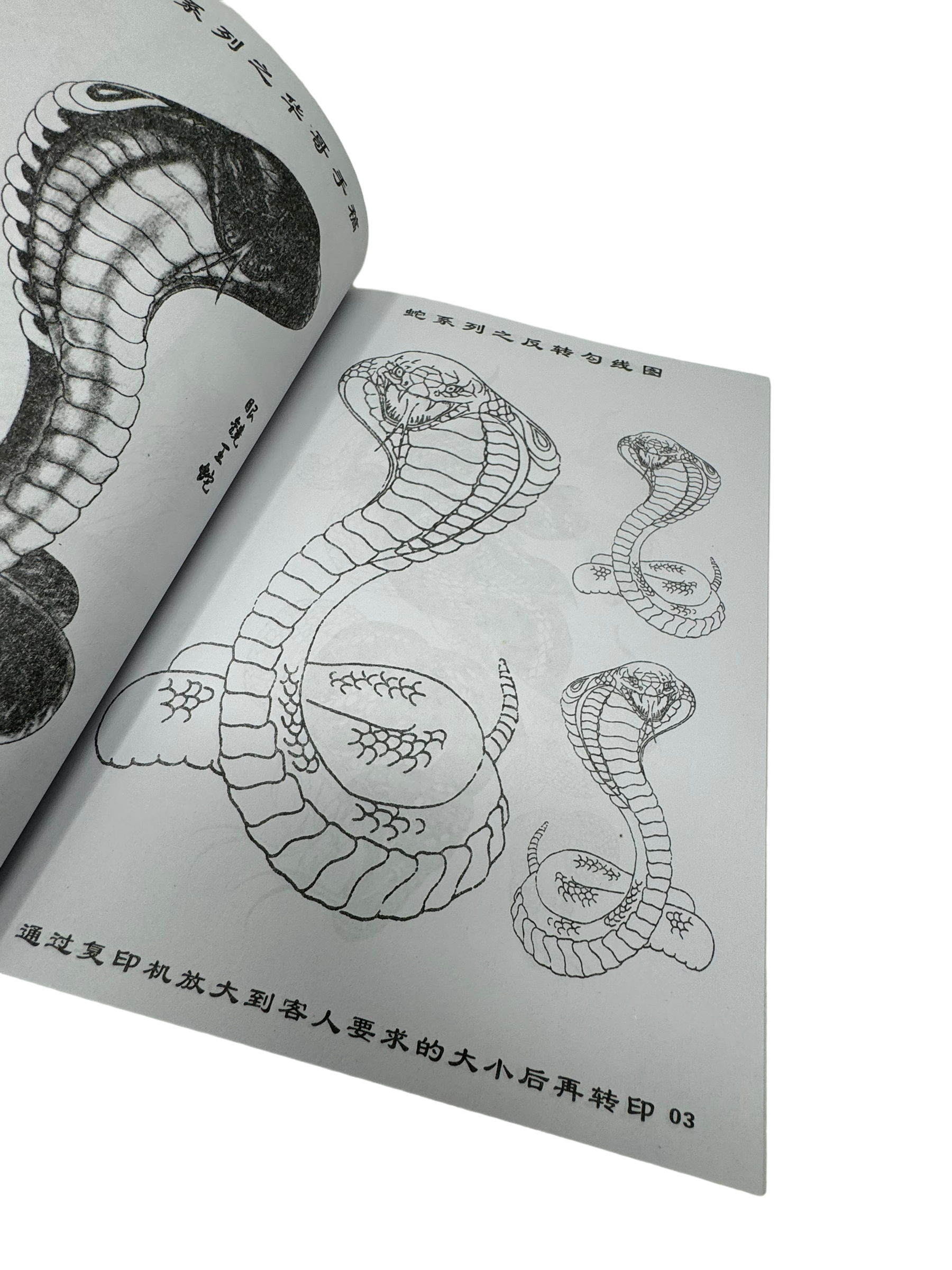japan-buch-nr.6-2