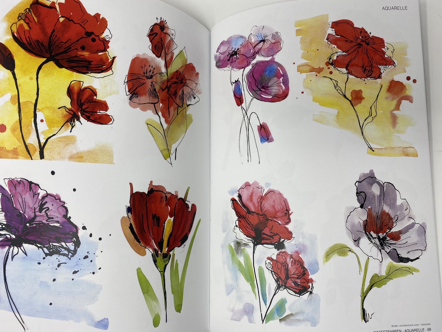buch-aquarell4