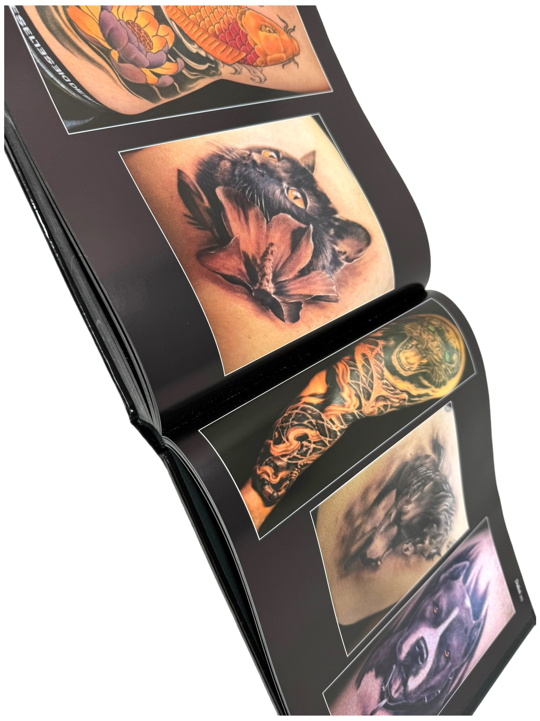 buch-animalink-7