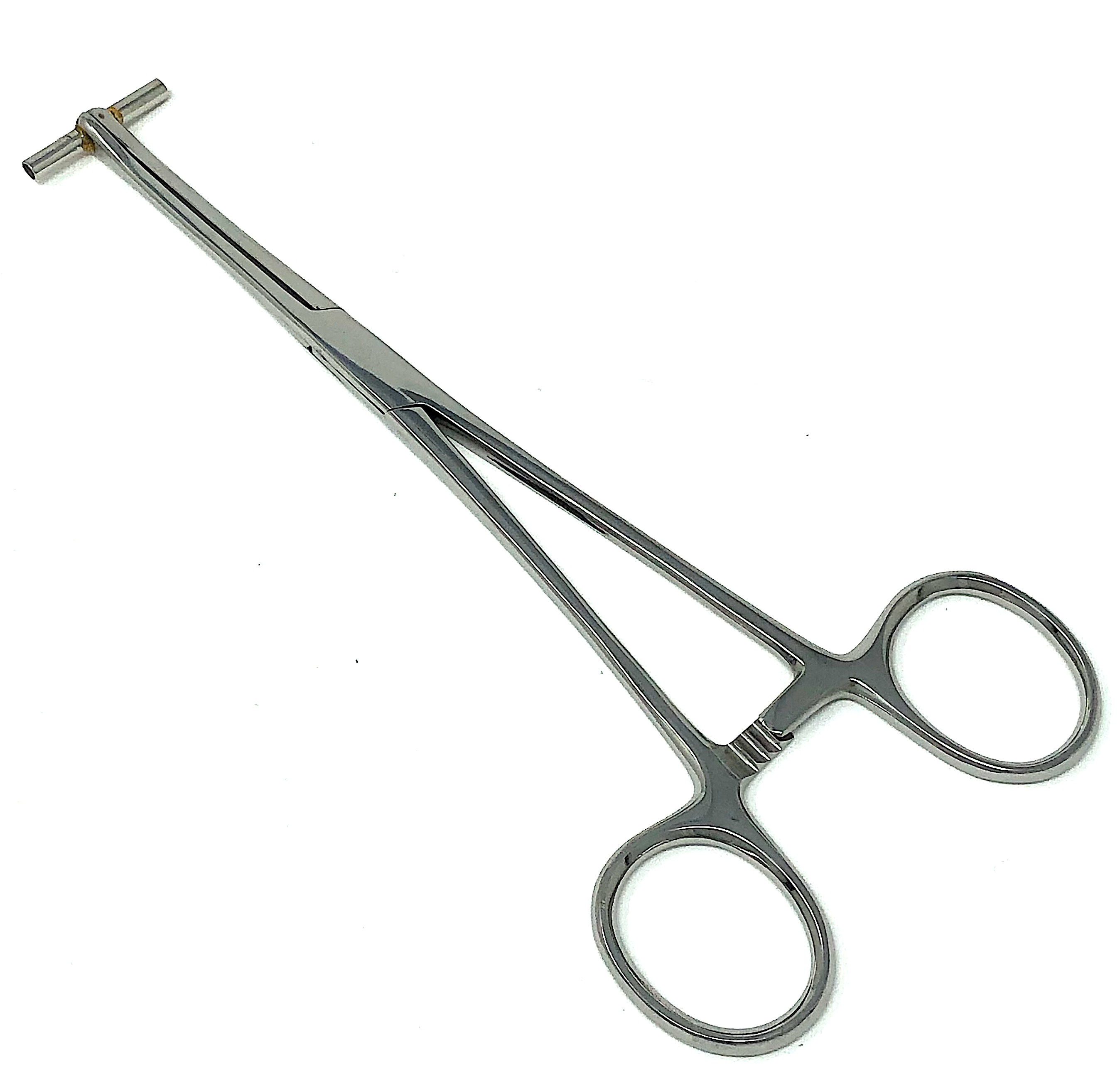 septumzange-1