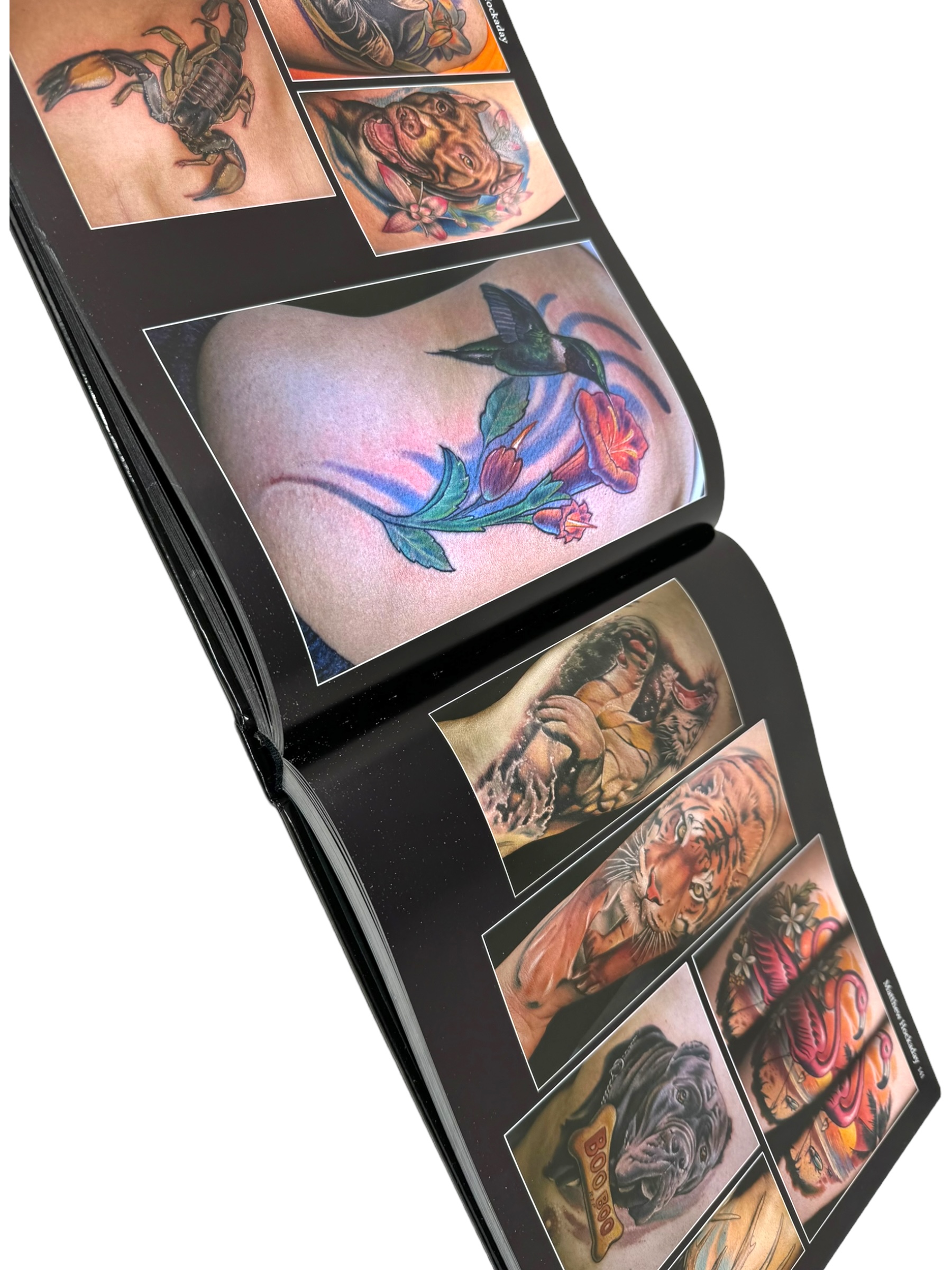 buch-animalink-5